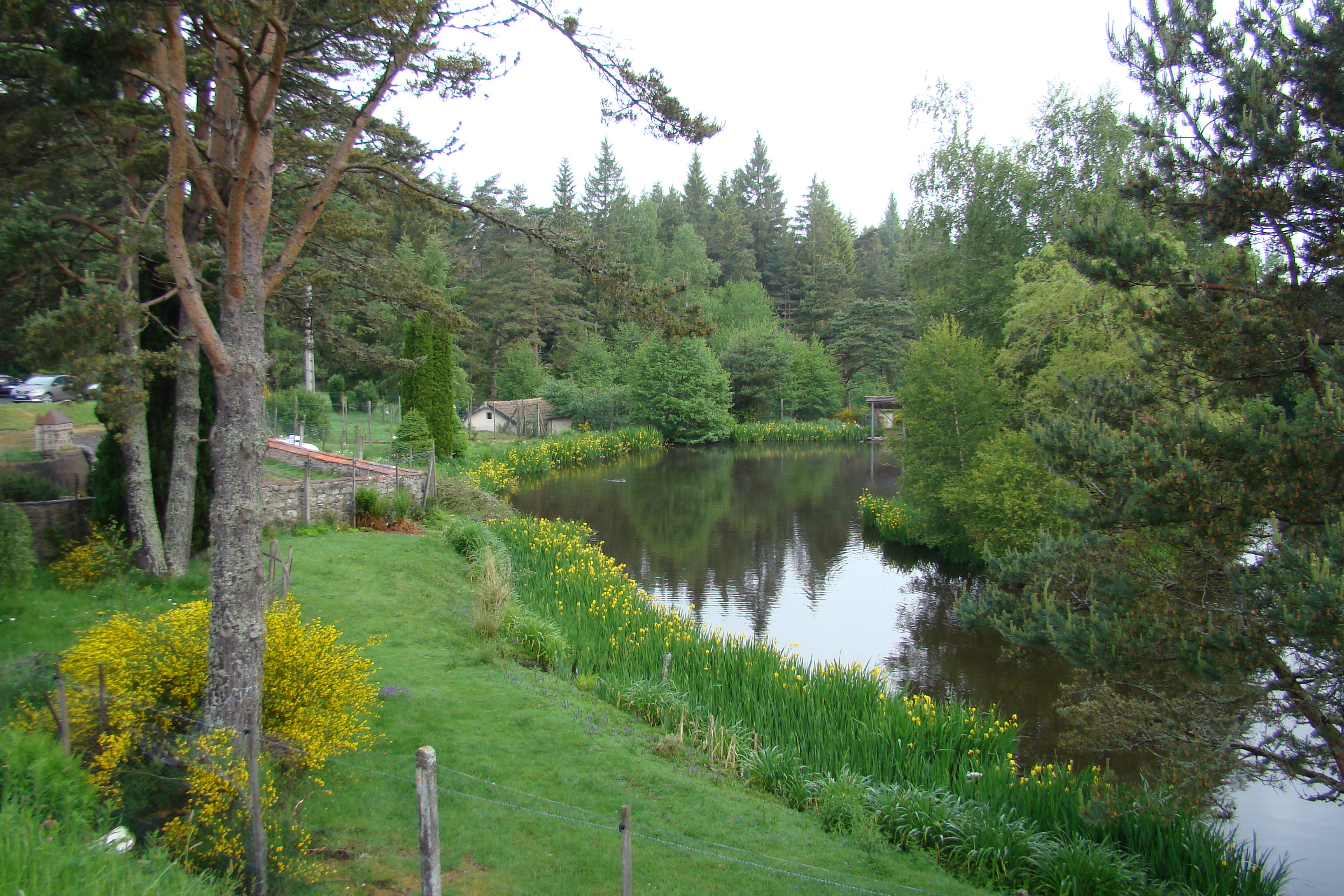 DSC05292