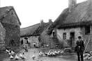 ferme de campagne